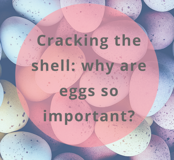 Cracking the shell: why are eggs so important?