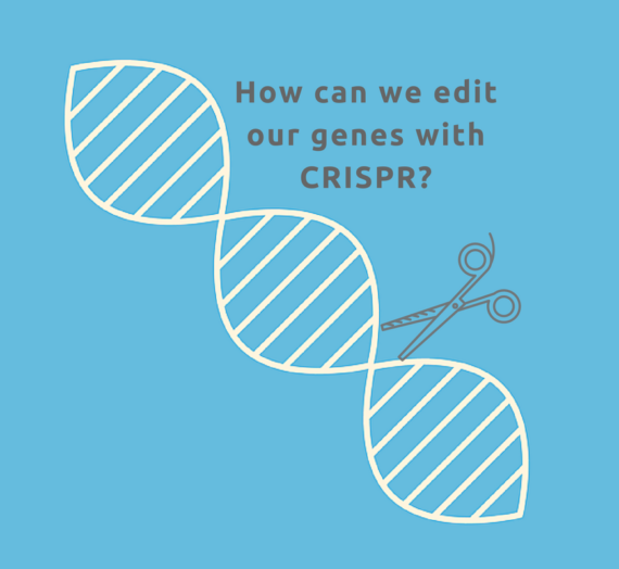 “Erase/Rewind” – How can we edit our genes with CRISPR?