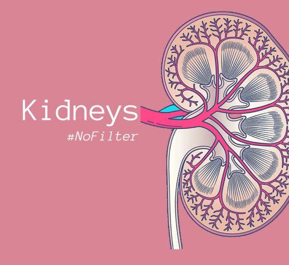 Kidneys – No beans, just urine (#NoFilter)
