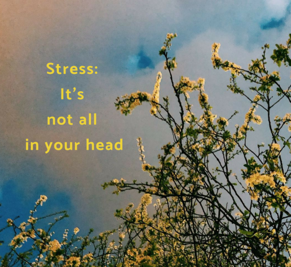 Stress: It’s not all in your head