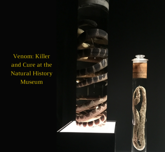 Venom: Killer and Cure (Natural History Museum) Review Part 2