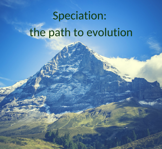 Speciation: the road to evolution