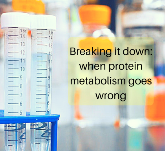 Breaking it down: when protein metabolism goes wrong