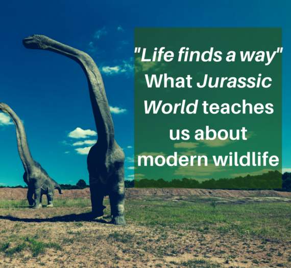 “Life finds a way”: What Jurassic World teaches us about modern wildlife