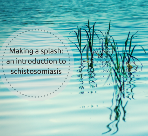 Making a splash: an introduction to schistosomiasis