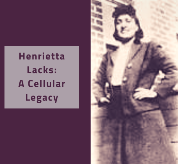 Henrietta Lacks: A Cellular Legacy