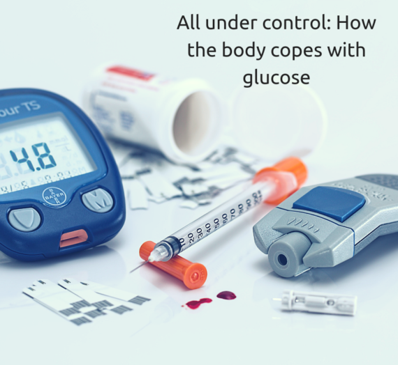 All under control: how the body copes with glucose