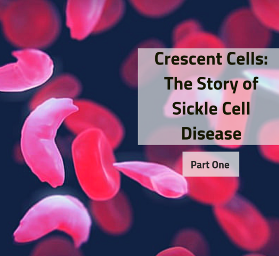 Crescent Cells: The Story of Sickle Cell Disease (Part One)