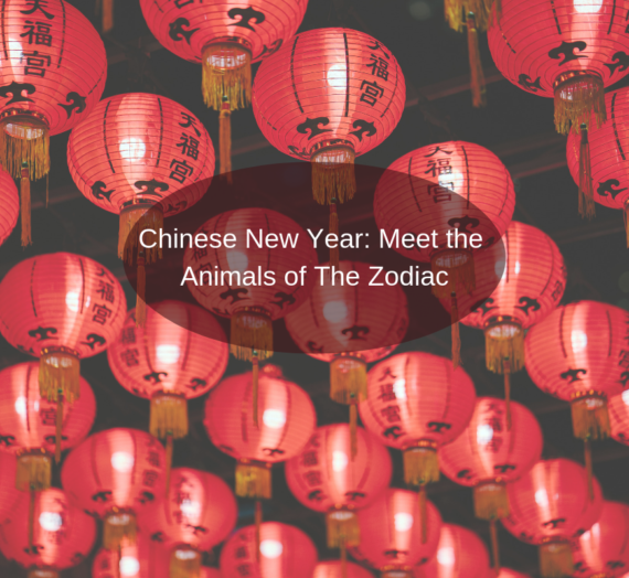 Chinese New Year: Meet the animals of the zodiac