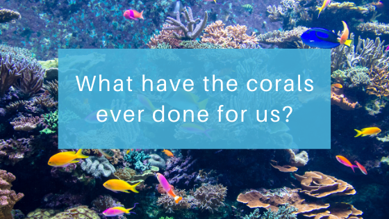 What have the corals ever done for us?
