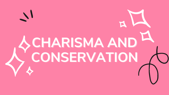 Charisma and conservation: why do we like some animals more than others?