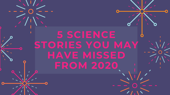 5 Science Stories You May Have Missed from 2020