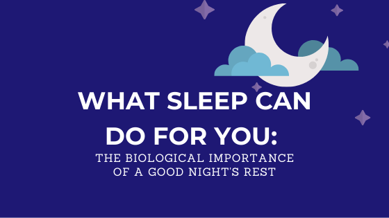 What Sleep Can Do for You: The Biological Importance of a Good Night’s Rest