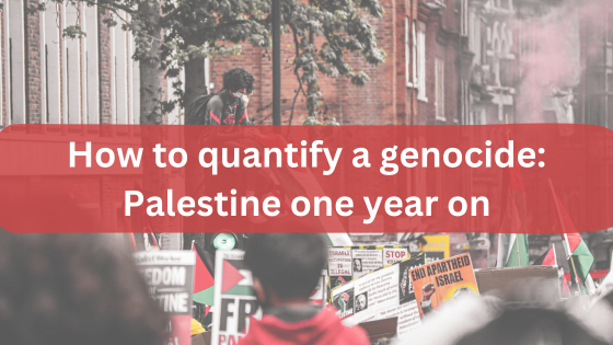 How to quantify a genocide: Palestine one year on